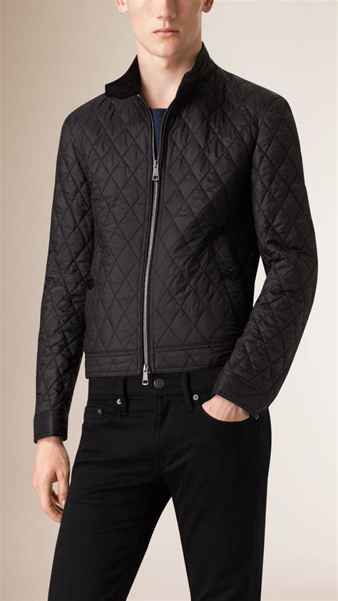 burberry quilted harrington jacket